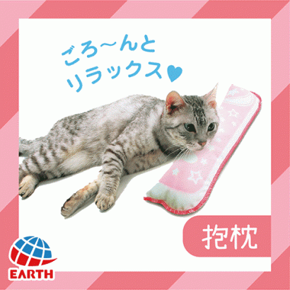 專利木天蓼-貓玩具枕頭.gif